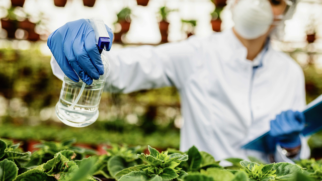 Aplicação Especializada de Produtos Fitofarmacêuticos – Produtos de Tratamento em Ambiente Confinado