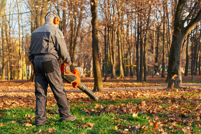 Manobrador de Máquinas Agrícolas, Florestais e de Jardinagem (MMAFJ)-16H